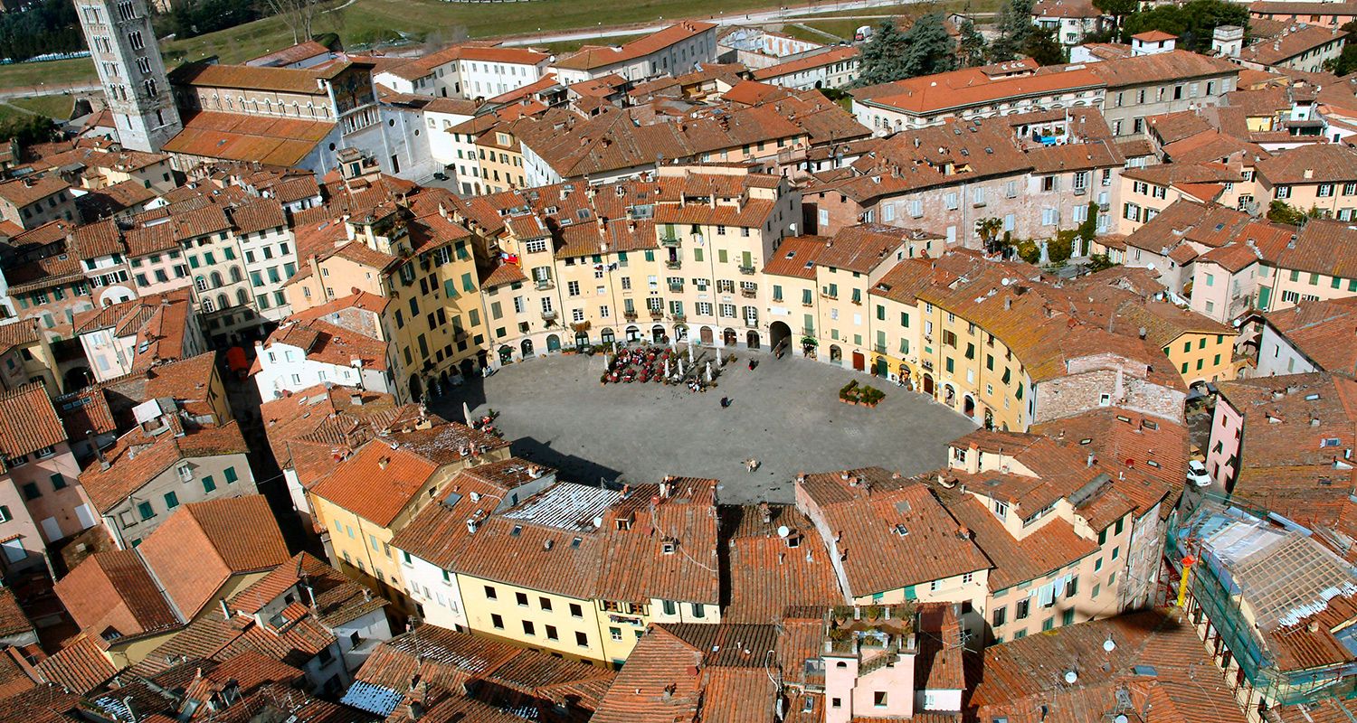 Lucca, its wine and olive oil